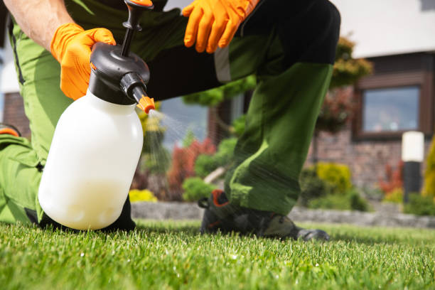 Wildlife Control Services in Coon Rapids, MN